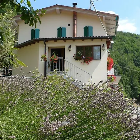 Solo Per Quattro Zocca