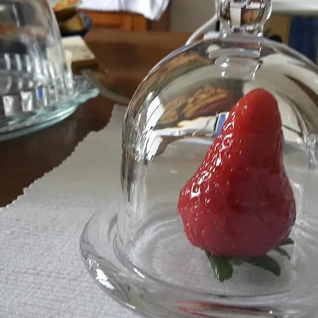 Solo Per Quattro 3* Zocca