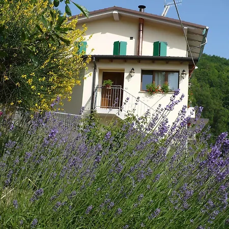 Bed & Breakfast Solo Per Quattro 3*