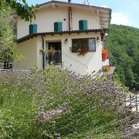 Solo Per Quattro Zocca