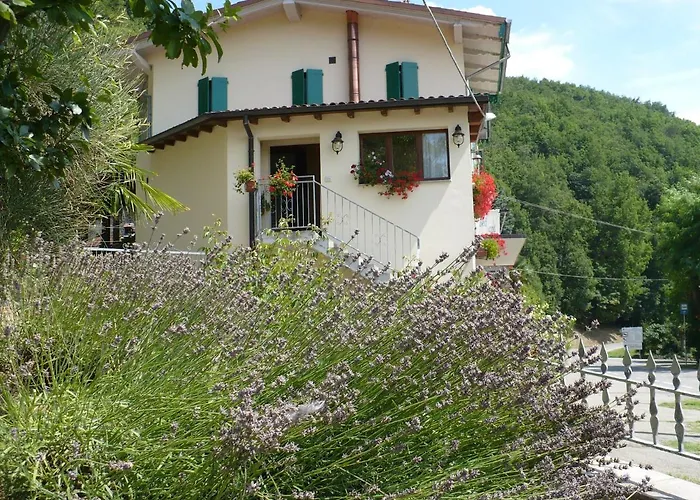 Solo Per Quattro Zocca