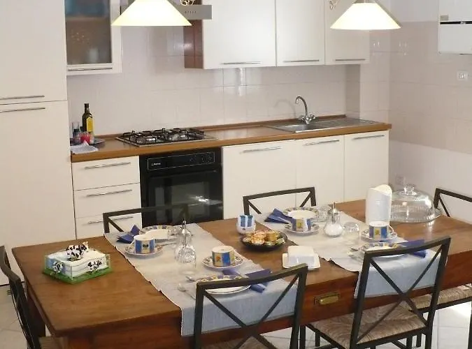 Solo Per Quattro Zocca